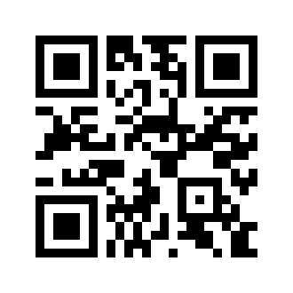 QR Code Langer