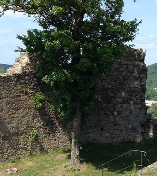 700x450-crop-90-aussicht_auf_badkissingen.1.jpg