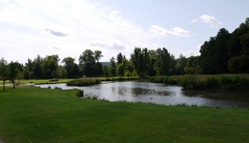 700x450-crop-90-aussicht_auf_den_park.jpg