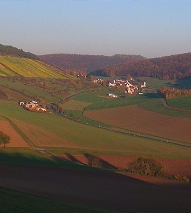 700x450-crop-90-bad_kissingen_weingut.jpg