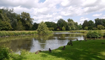 700x450-crop-90-luitpoldpark_mit_enten.jpg