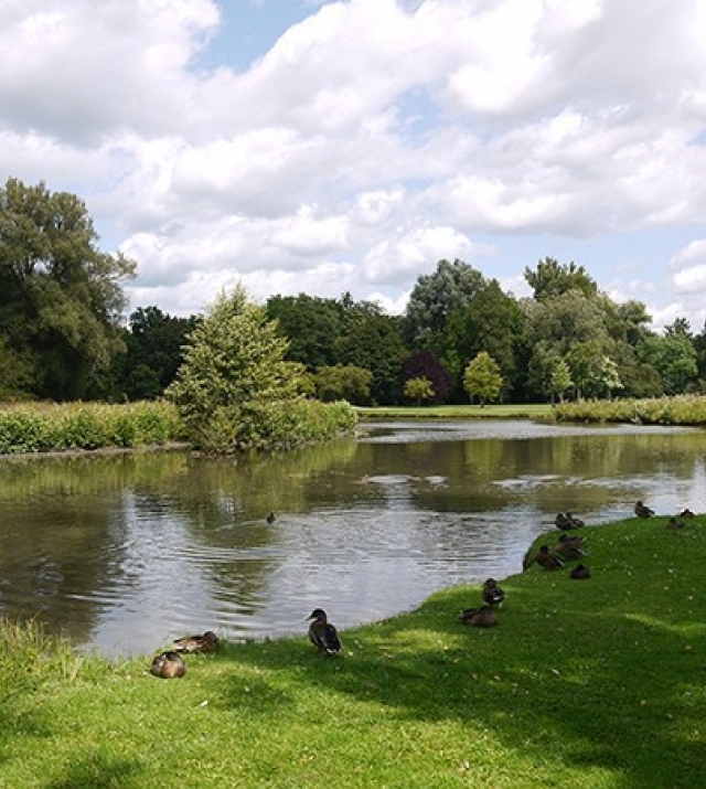 700x450-crop-90-luitpoldpark_mit_enten.jpg