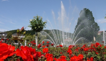 700x450-crop-90-springbrunnen_und_rote_rosen_im_rosengarten.jpg