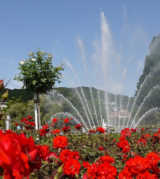 700x450-crop-90-springbrunnen_und_rote_rosen_im_rosengarten.jpg